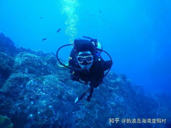 杜锋被喊下课恶果爆发,小姚明沦为牺牲品,跟球迷斗气?网友炮轰